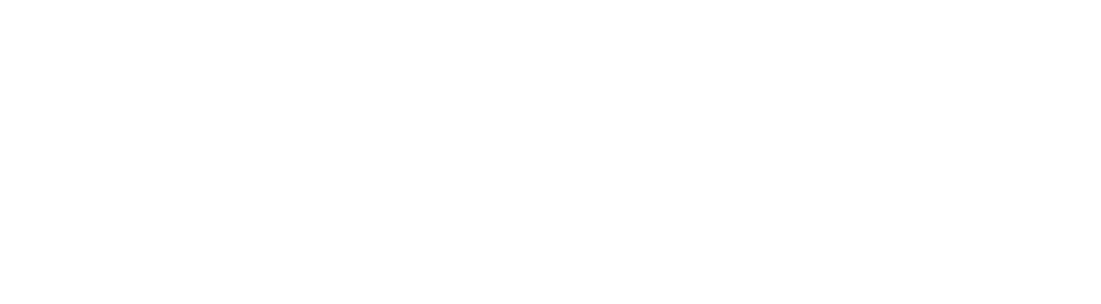 SpeedFlow Marketing
